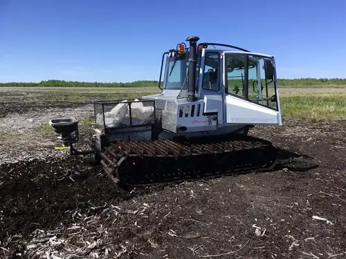 Phosphate rock fertilization of the peat bog under restoration