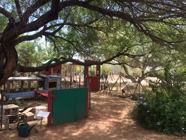 Civano nursery children's petting zoo