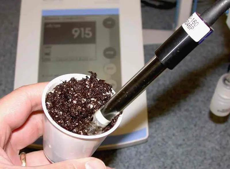 E.C. measurement in mud growing media