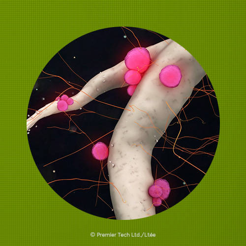 Active Ingredients - badge THRIVE