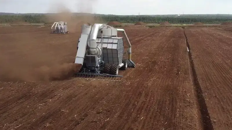 What is peat moss and where does it come from