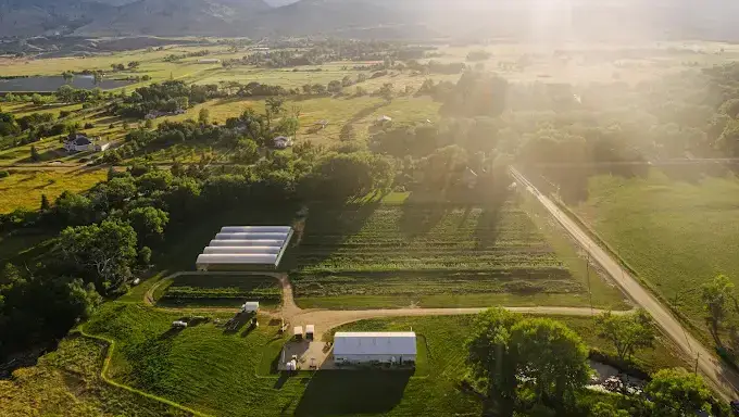 Fresh Herb Company