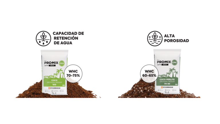 Article ES-US - PRO-MIX CCX and PRO-MIX CCX texture and properties Textura y propiedades de PRO-MIX CCX y PRO-MIX CCX