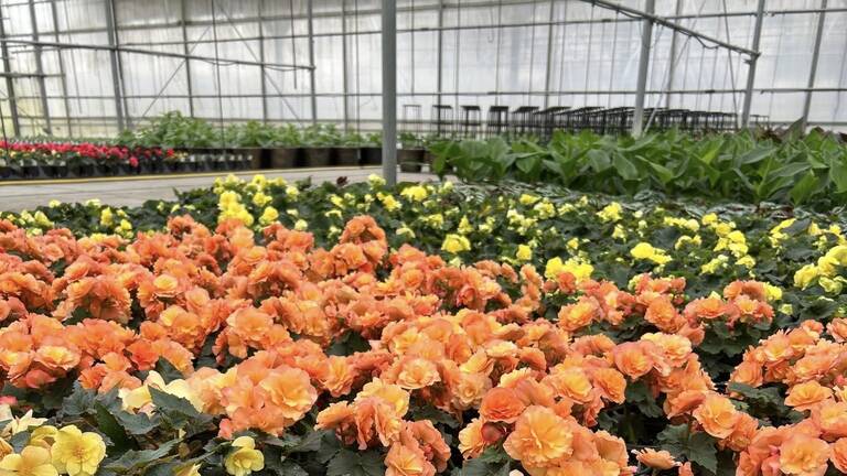 urban growers-2