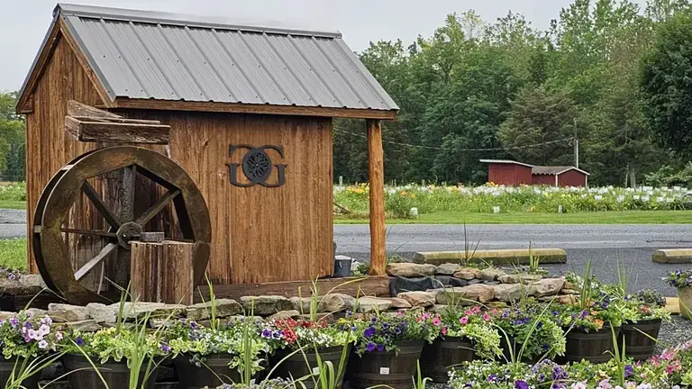Outside Glick’s Greenhouse
