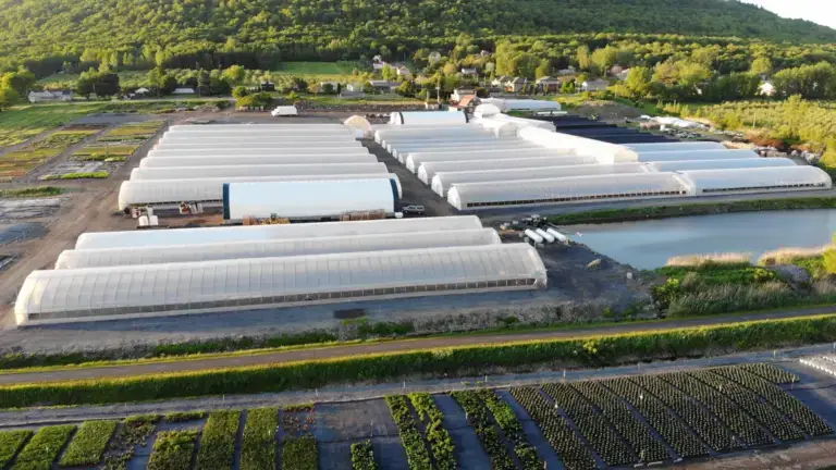 Aerial view of Plant Select greenhouses