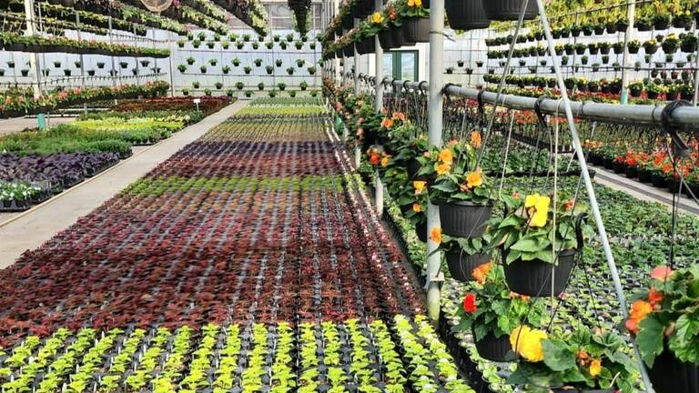 urban growers-3