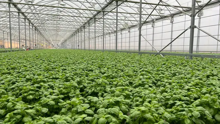 Gourma Greenhouse