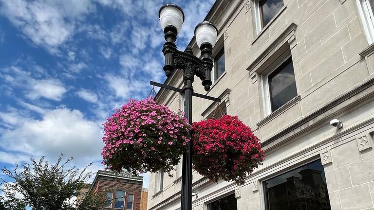 Buchwalter Greenhouse hanging baskets hang along the streets Buchwalter Greenhouse hanging baskets hang along the streets
