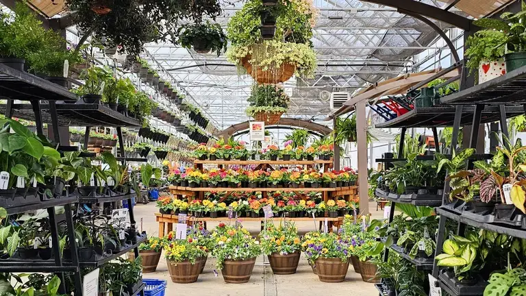 Glick’s Greenhouse inside displays