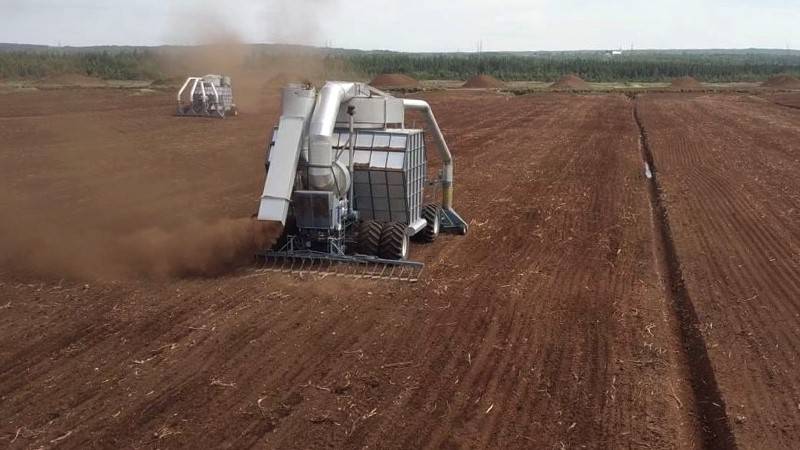 What is peat moss and where does it come from