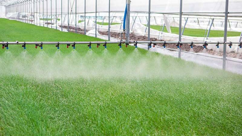 promix greenhouse growing sprinklers