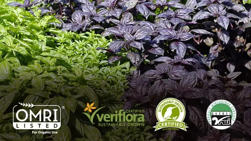 Certification biologique