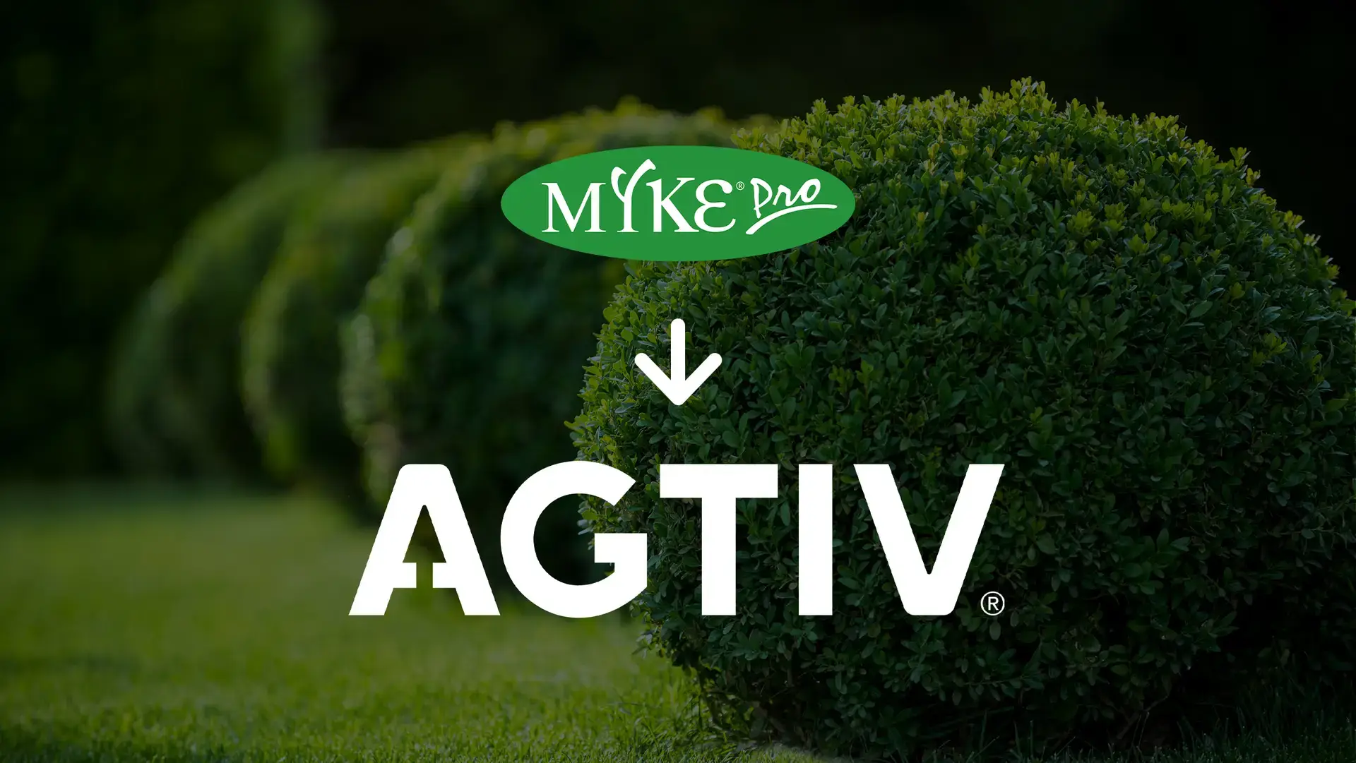 MYKE PRO - AGTIV logo