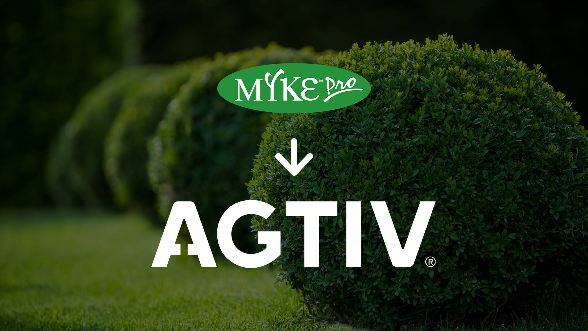 MYKE PRO - AGTIV logo