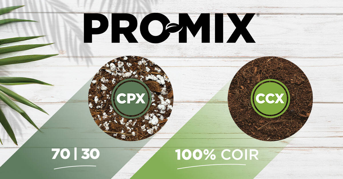PRO-MIX CCX and PRO-MIX CCX texture