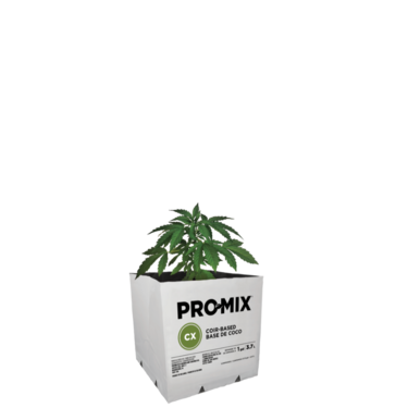 ex-cx-plant ex-cx-plant