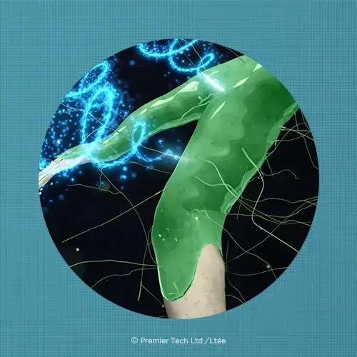 Active Ingredients - badge AMPLIFY