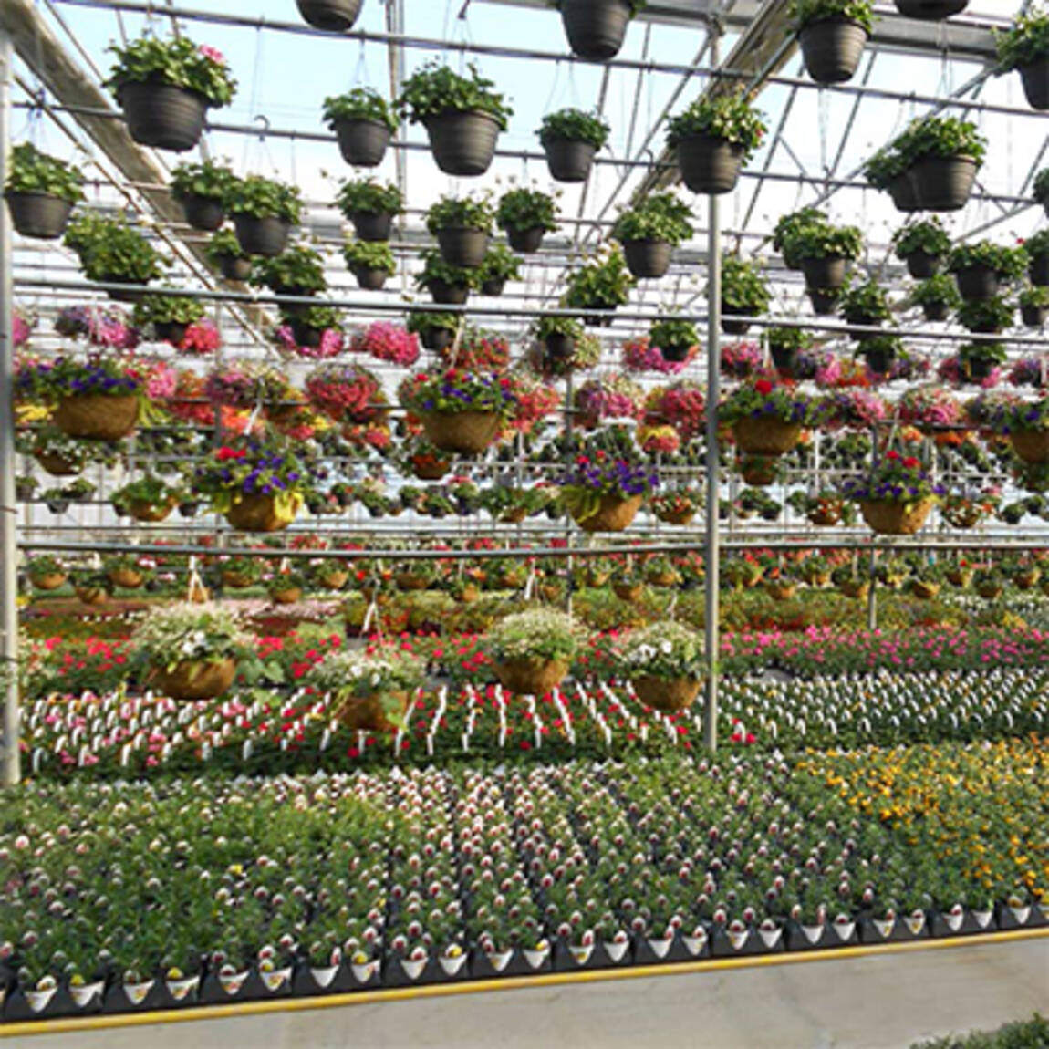 testimonial-urban-growers-greenhouse.jpg