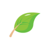 Permitted Substances Lists