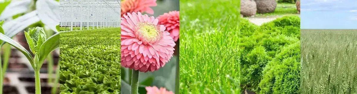 Premier Tech Growers and Consumers crops