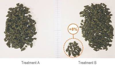 Medicinal plants