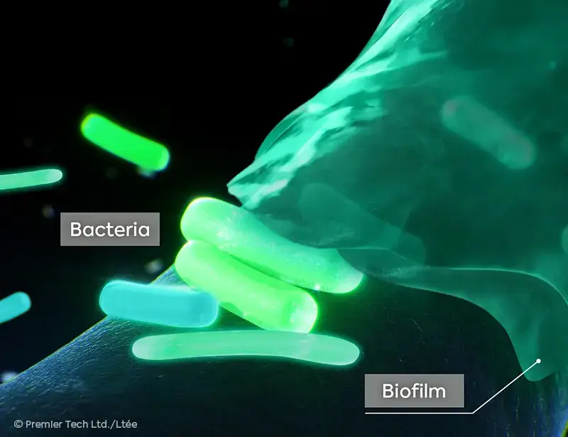 AGTIV UPTAKE Close-up of the biofilm formation by bacteria