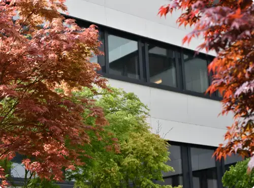Bâtiment urbain moderne entouré d'érables