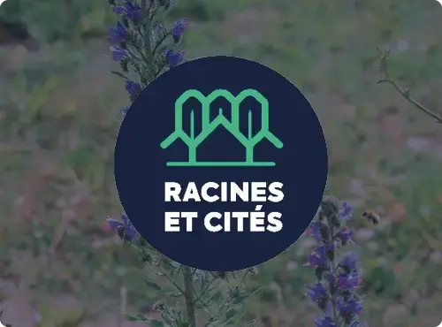 Logo Racines et Cités sur fond végétal