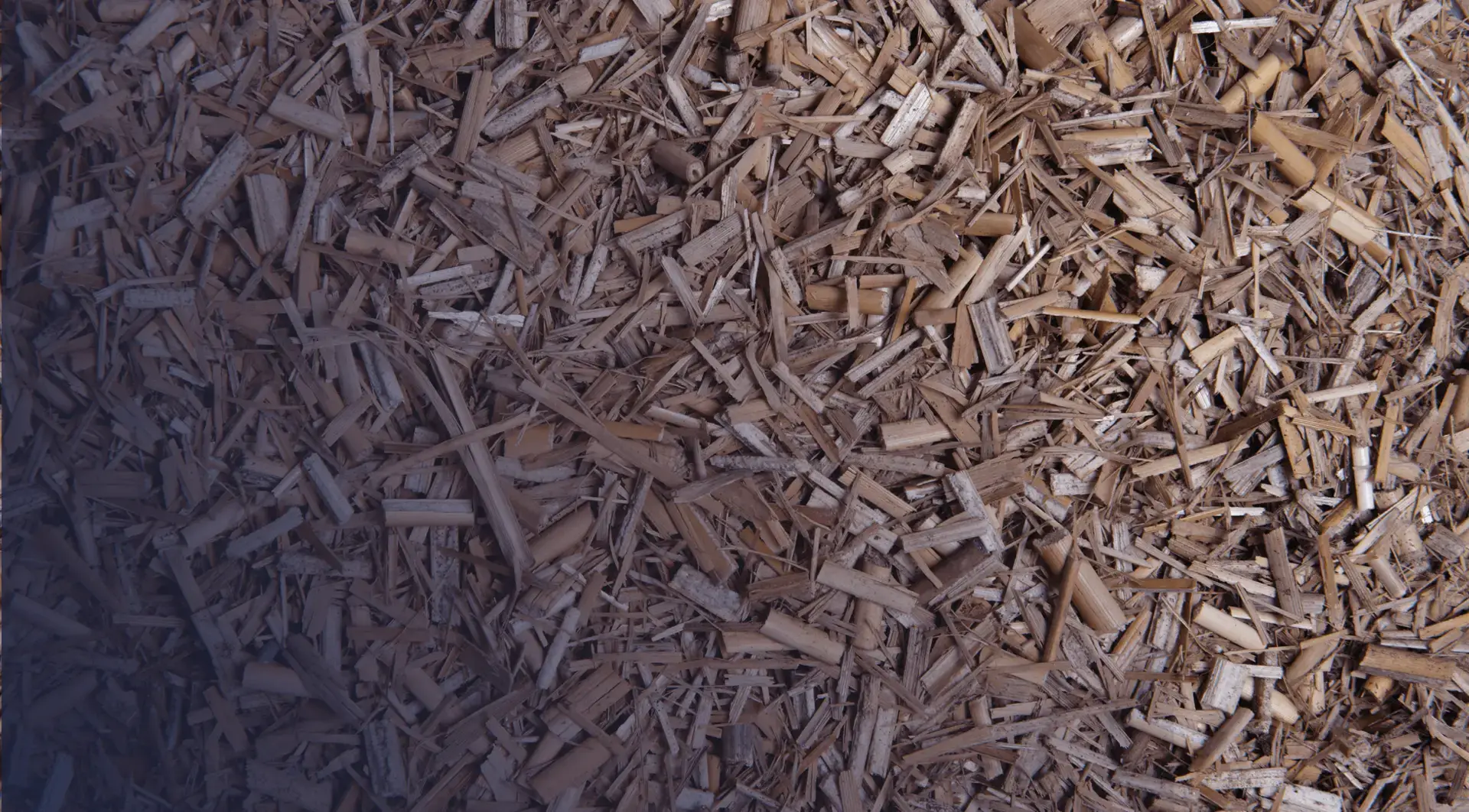zoom sur un paillage naturel bois