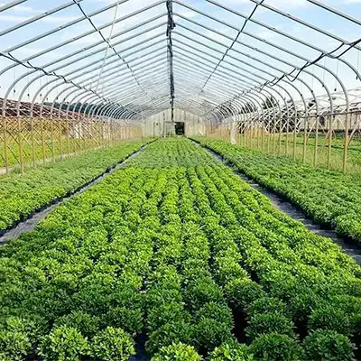testimonial-erich-gumto-greenhouses.jpg