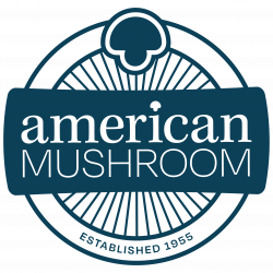 American Mushroom