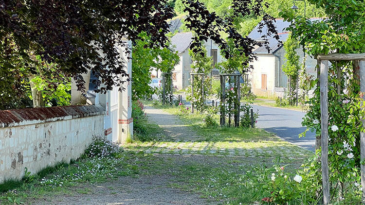 Trottoir arboré et sol perméable avec la solution chaussée végétale