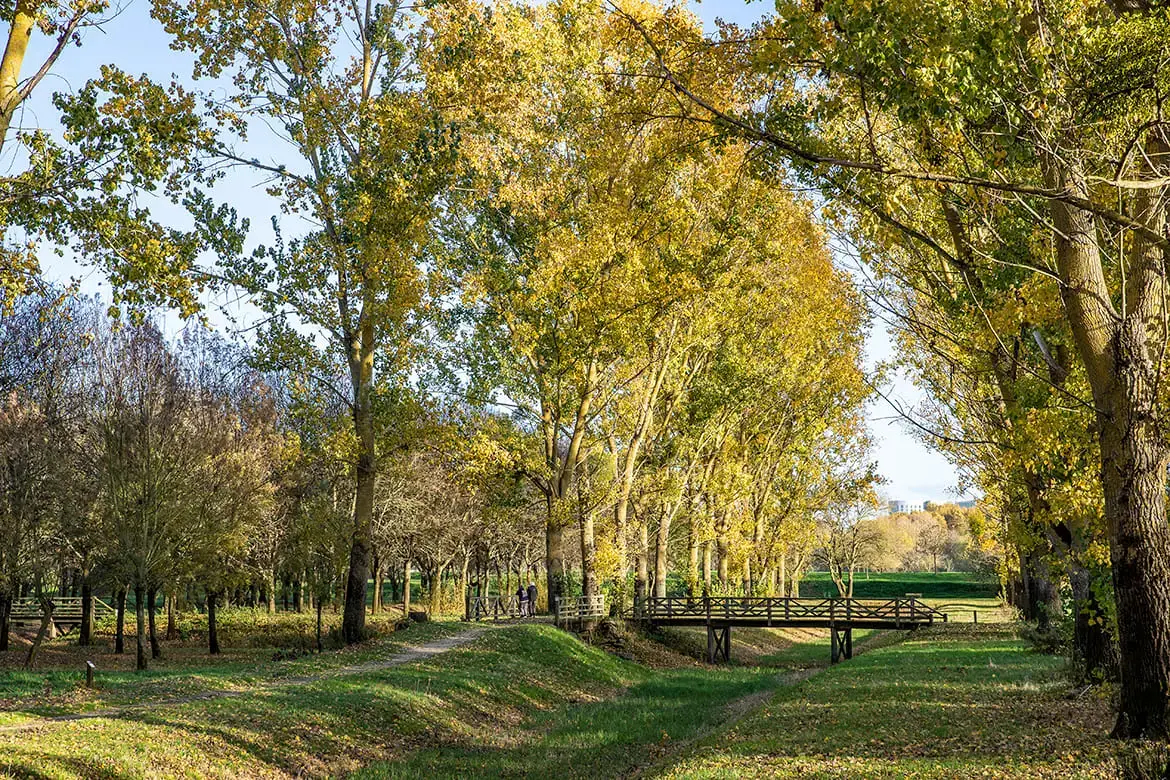 Prairies humides et cheminement piéton dans le parc Balzac, à Angers.